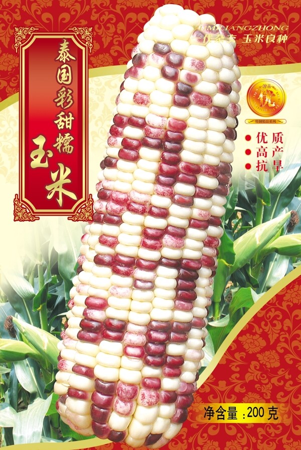 玉米包裝圖片