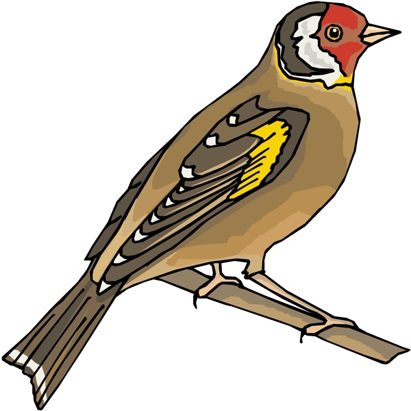各種鳥類鳥動物矢量素材EPS格式0866