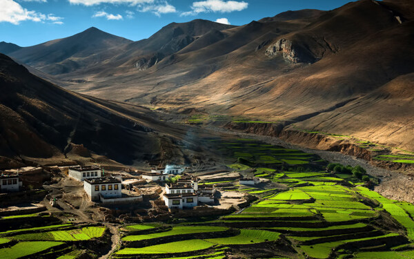 清新自然风景