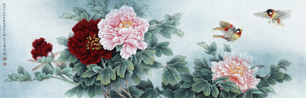 牡丹圖片