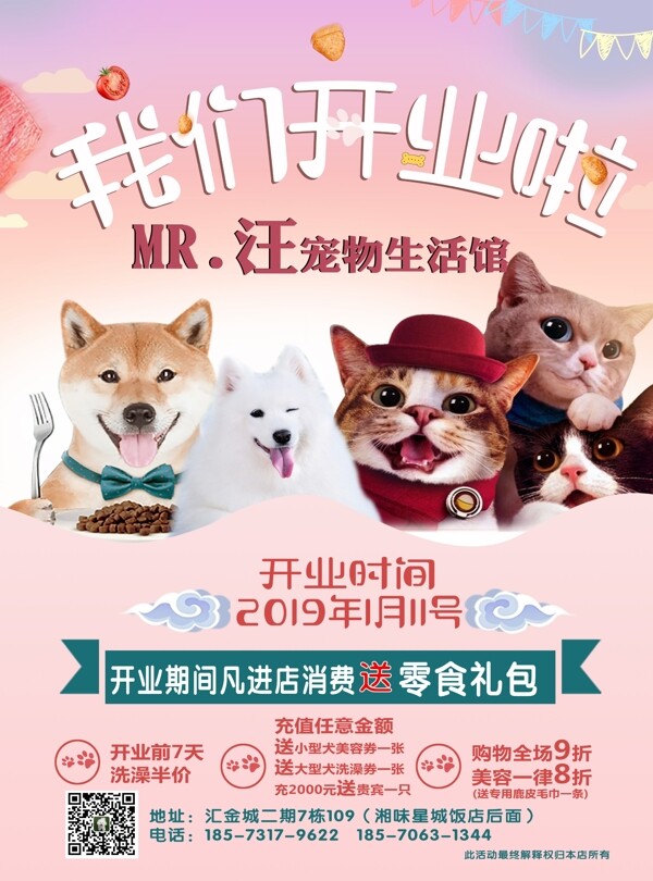 寵物店傳單