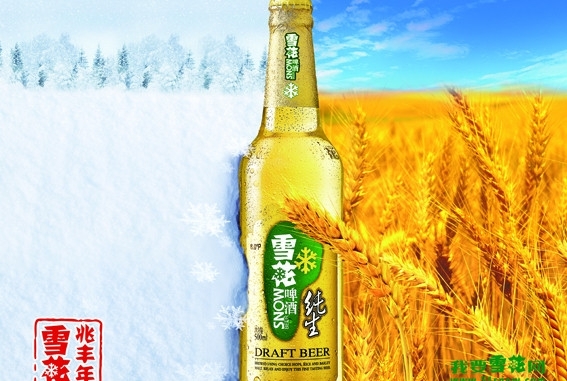 雪花啤酒2012元旦宣传