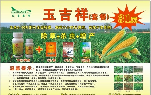 玉米田