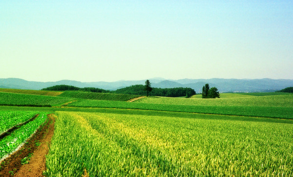 自然風(fēng)景