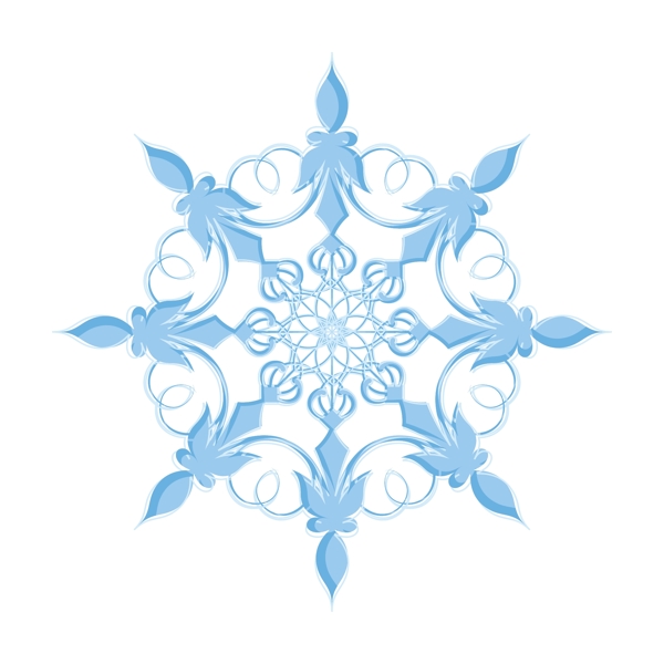 結(jié)婚花的雪花