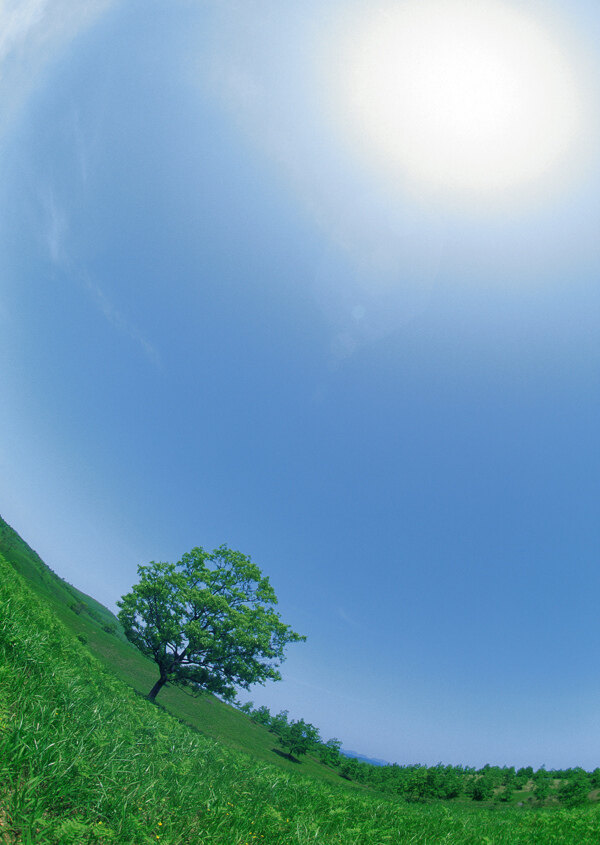 蓝天白云绿树草地图片