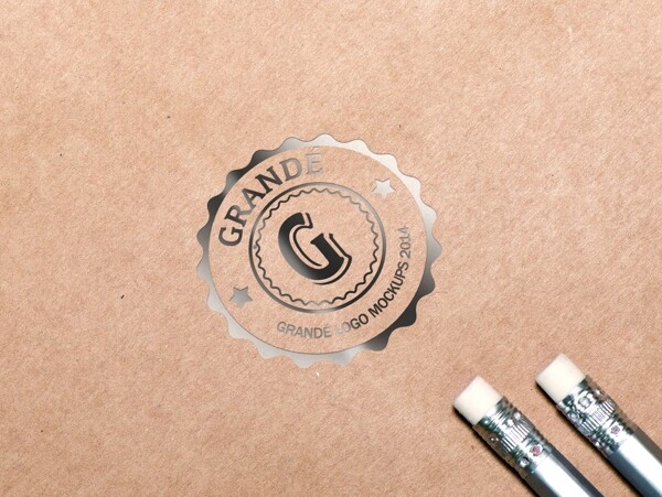 牛皮紙銀色logo樣機(jī)