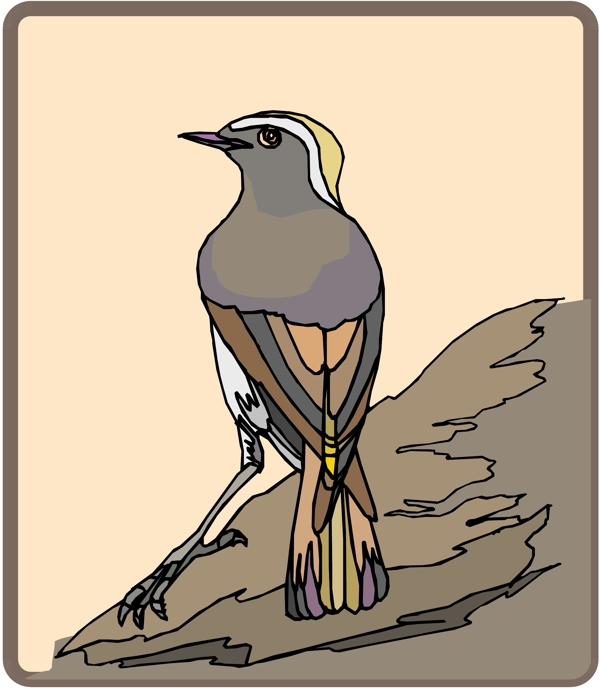 各種鳥類鳥動物矢量素材EPS格式0488