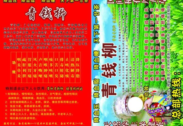 減肥青錢柳單頁圖片