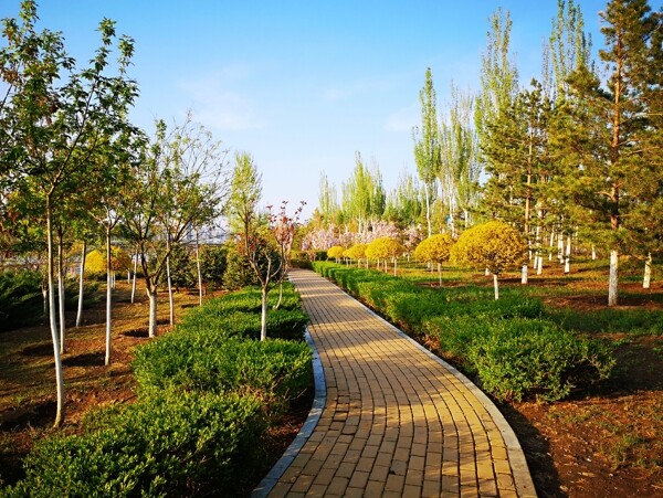 公園