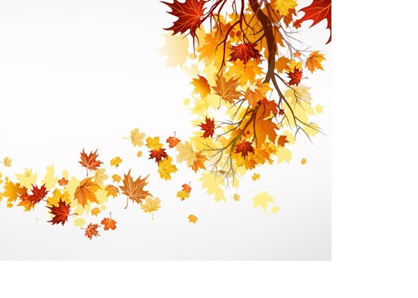 秋天树木背景图片