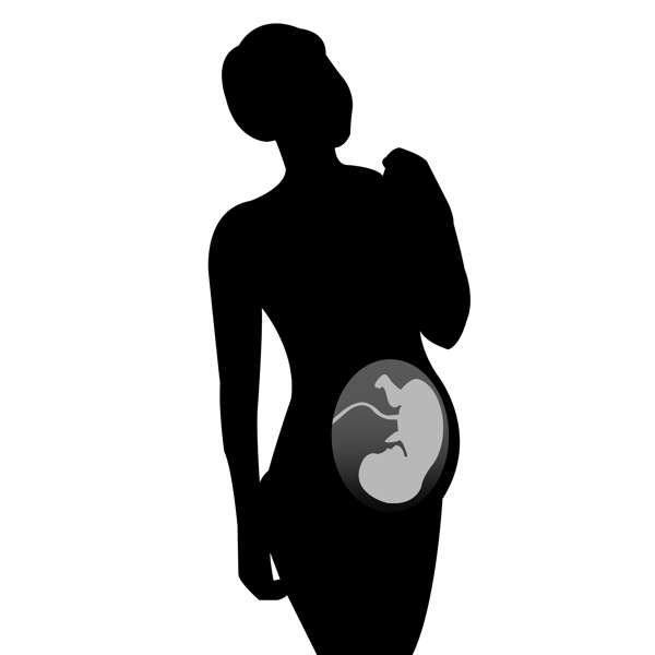 孕妇与婴儿的影像矢量图