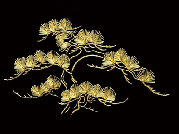 松樹(shù)金色樹(shù)苗