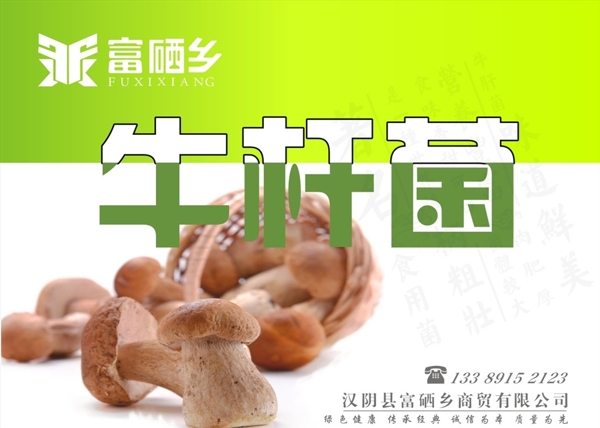 原創(chuàng)牛肝菌標(biāo)簽