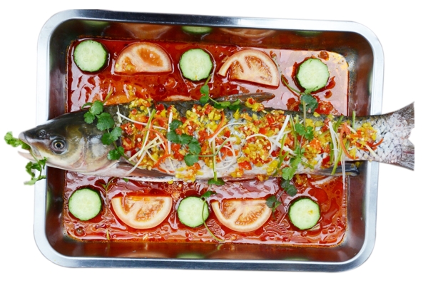 過(guò)水魚(yú)圖片