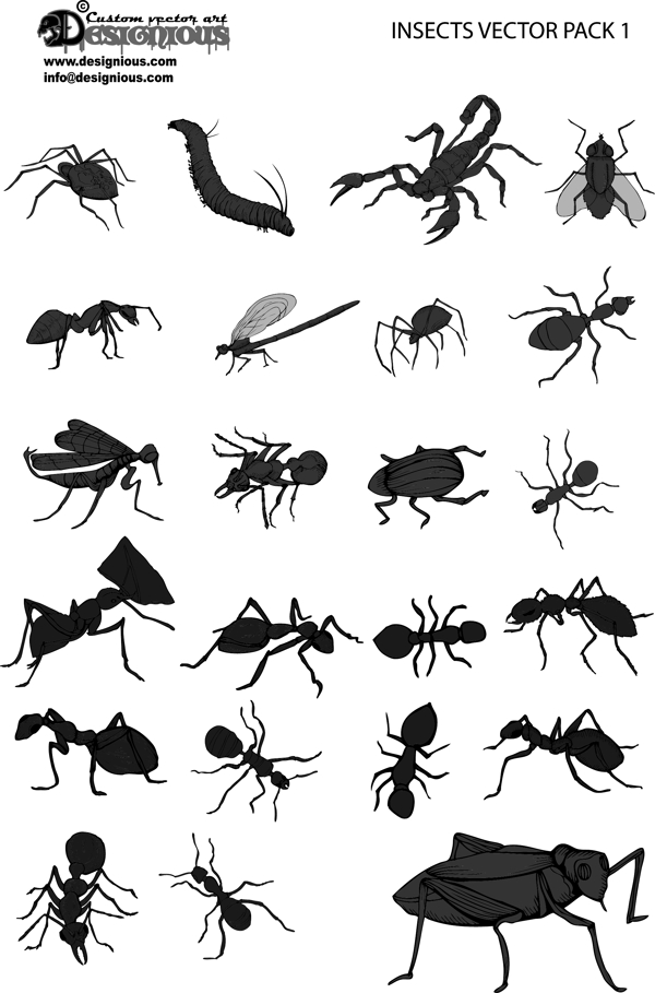 黑白蚂蚁昆虫剪影