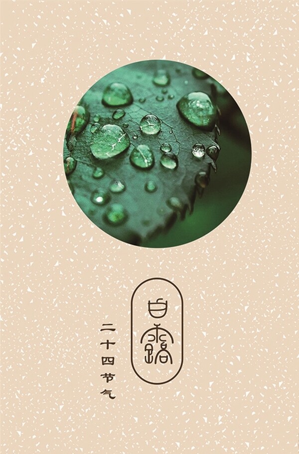 二十四節(jié)氣白露