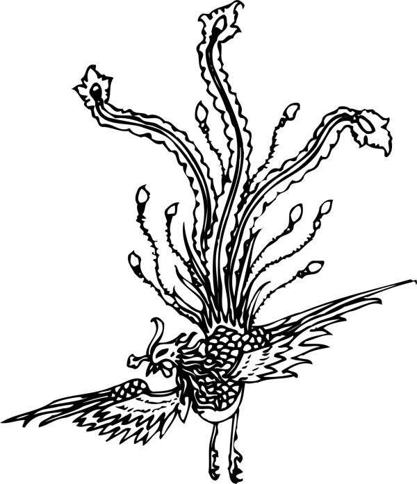 印花矢量圖動物鳥類鳳凰色彩免費(fèi)素材