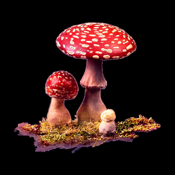 鲜艳蘑菇元素