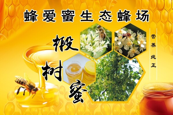 蜂蜜