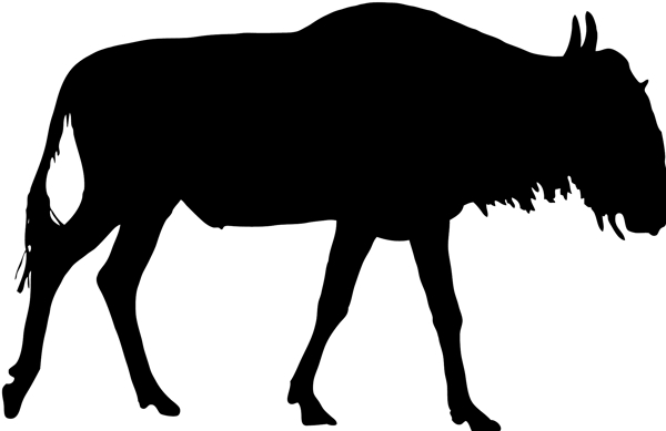 野生动物系列牛羚角马