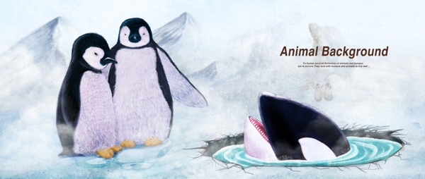 南极企鹅鲸鱼图片