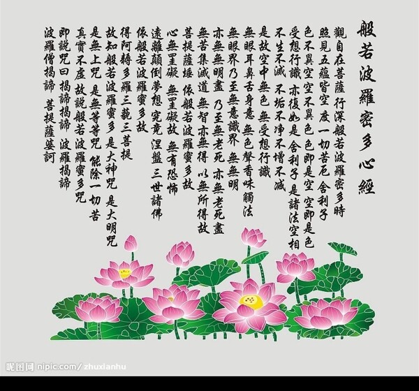 荷花圖片