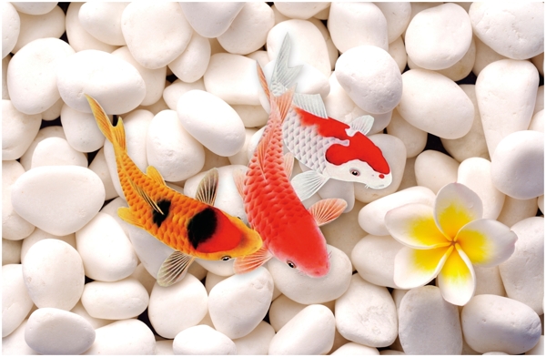 鱼3D立体画视觉效果