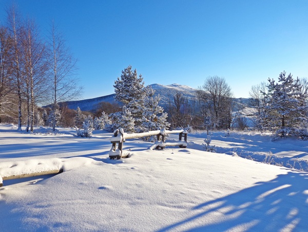 雪景
