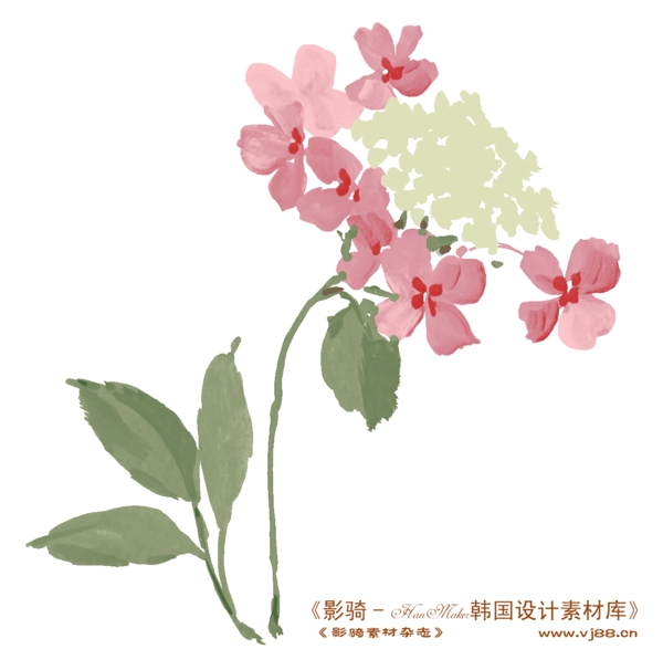 花紋花朵裝飾修飾HanMaker韓國設計素材庫