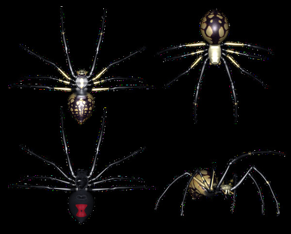 四个蜘蛛图片免抠png透明图层素材