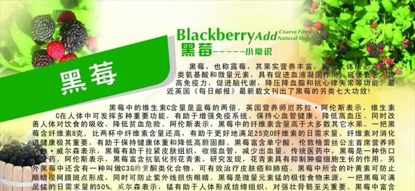 黑莓海報圖片