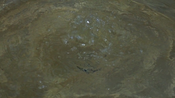 河水泥潭視頻素材