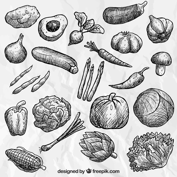 素描手绘21款蔬菜