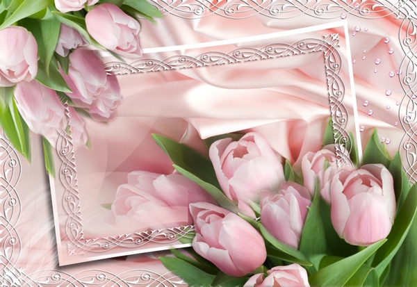 粉红色玫瑰相框图片