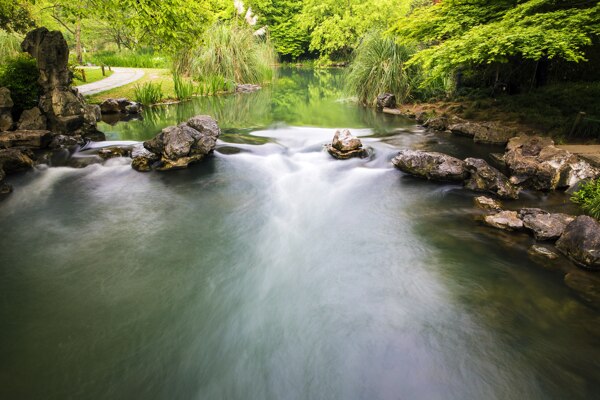 杭州太子湾公园的小溪流