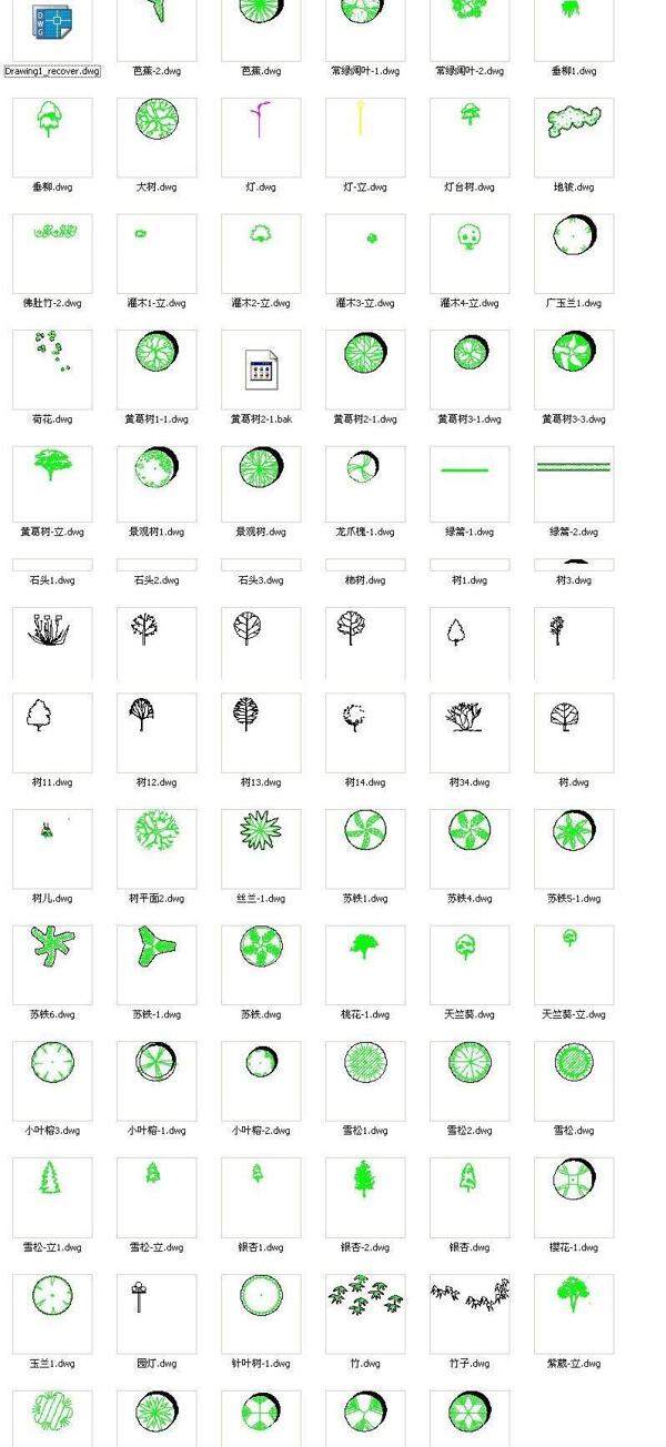 植物CAD圖塊素材
