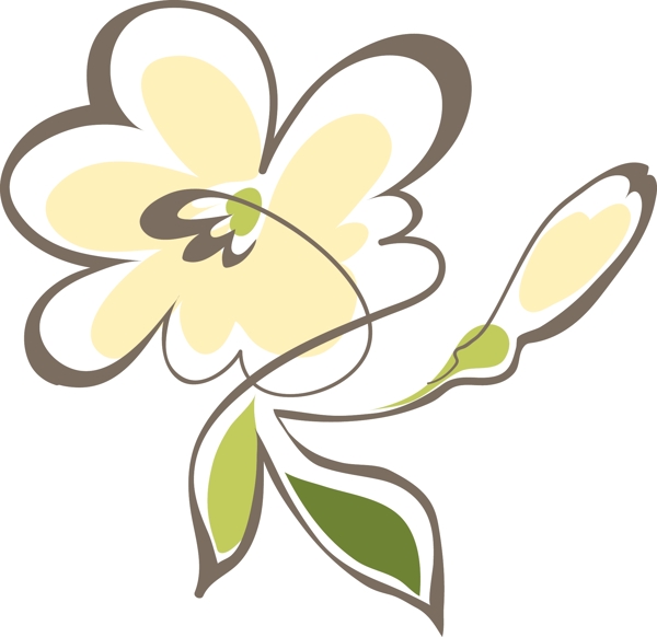 小花花卉
