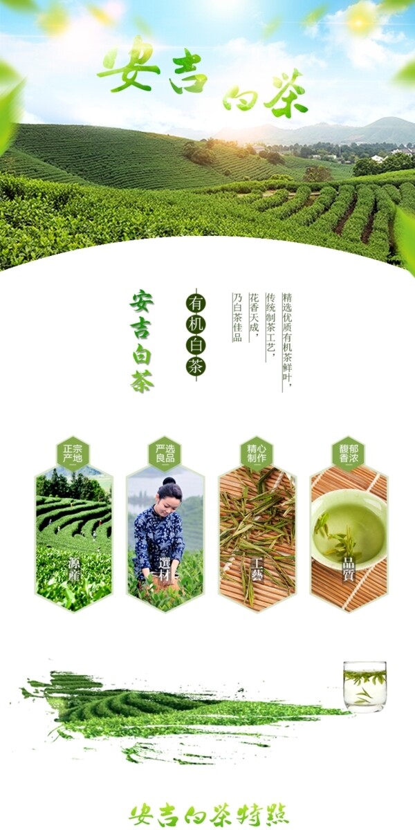 白茶详情页淘宝模板