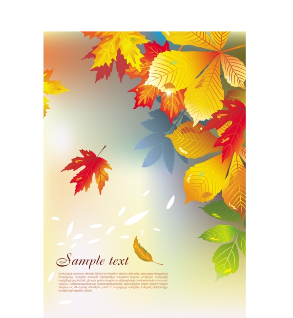 秋天轉(zhuǎn)紅的樹葉