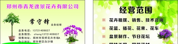 花卉名片