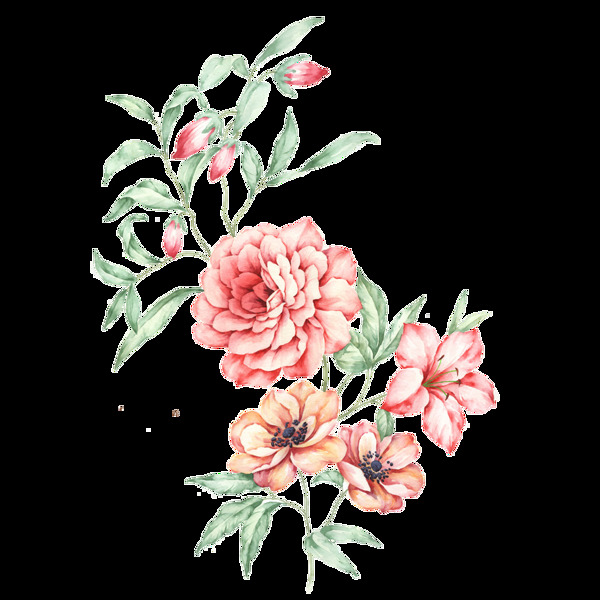 水彩花卉透明裝飾素材