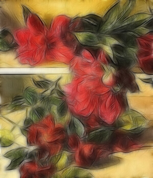 花卉
