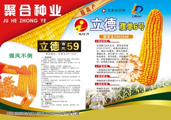 種業(yè)宣傳單圖片
