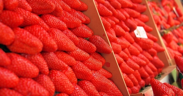 新鲜的草莓图片