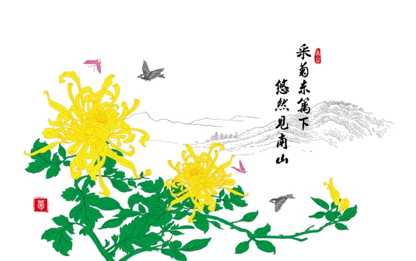 菊花