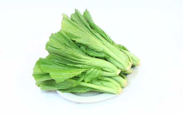 芥菜圖片