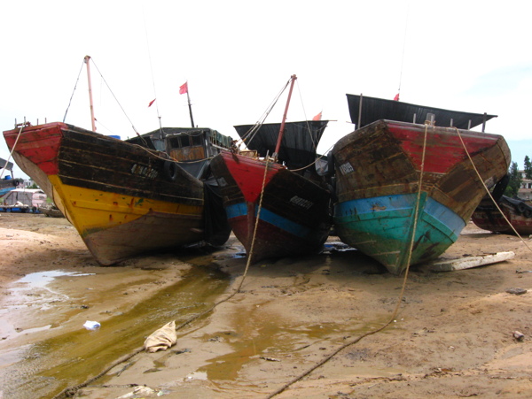 草潭渔港之三图片