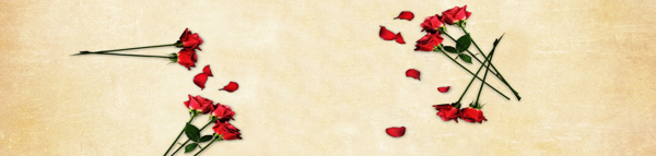 手表簡約歐式玫瑰背景banner