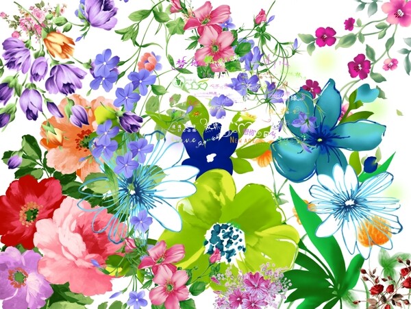 精品花紋圖片